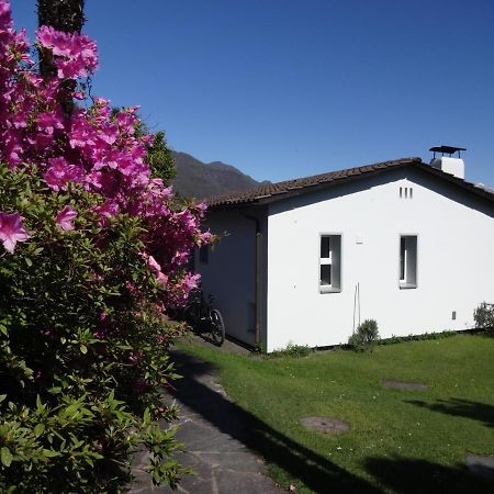 Residenza Paradiso Di Vacanze Minusio Extérieur photo