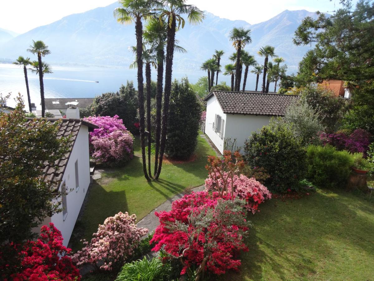 Residenza Paradiso Di Vacanze Minusio Extérieur photo