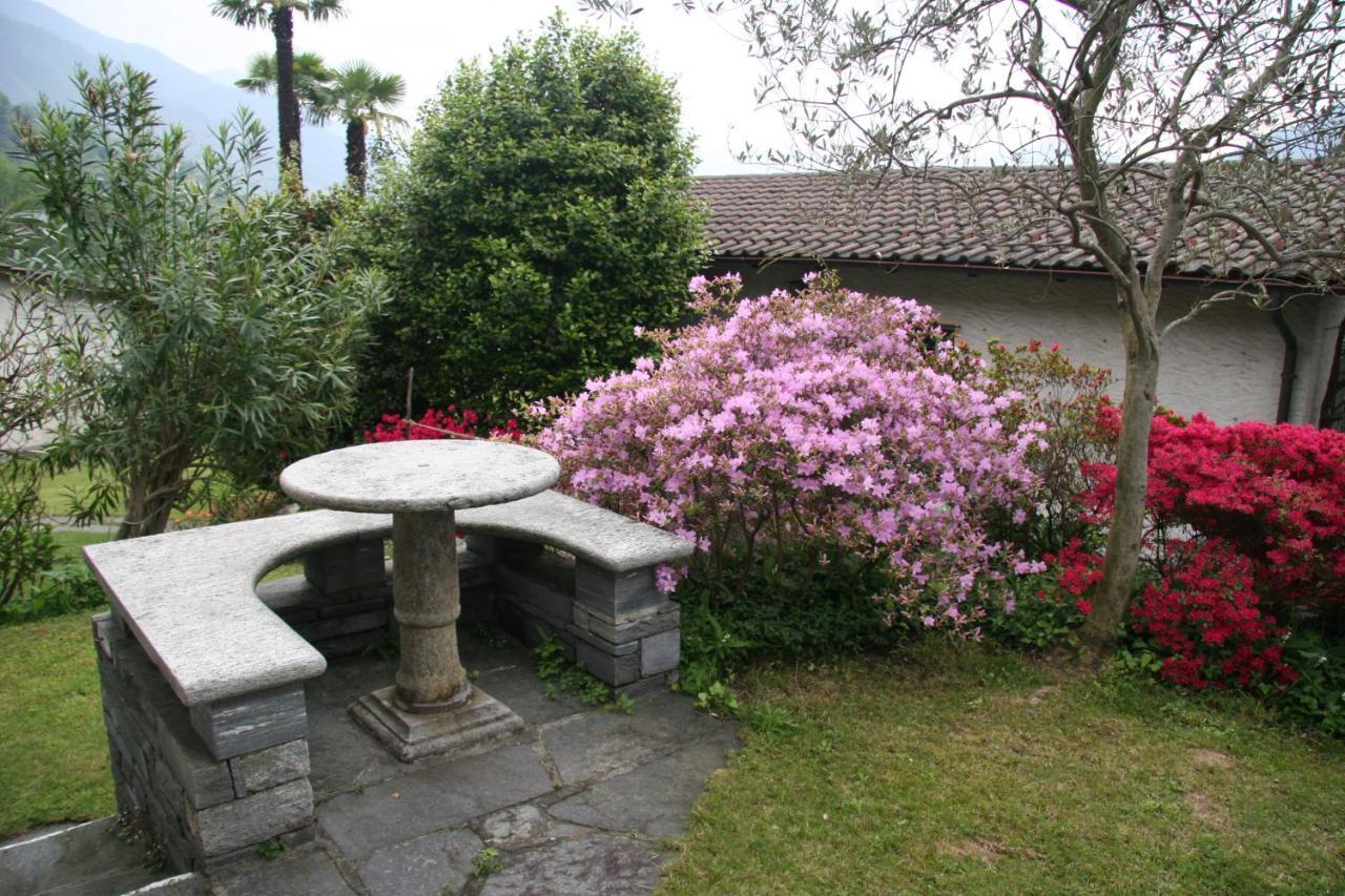 Residenza Paradiso Di Vacanze Minusio Extérieur photo